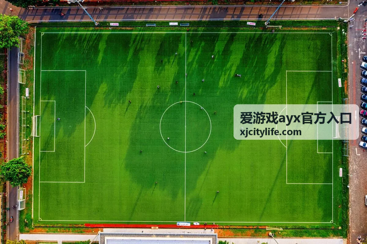 爱游戏ayx官方入口常见问题配图